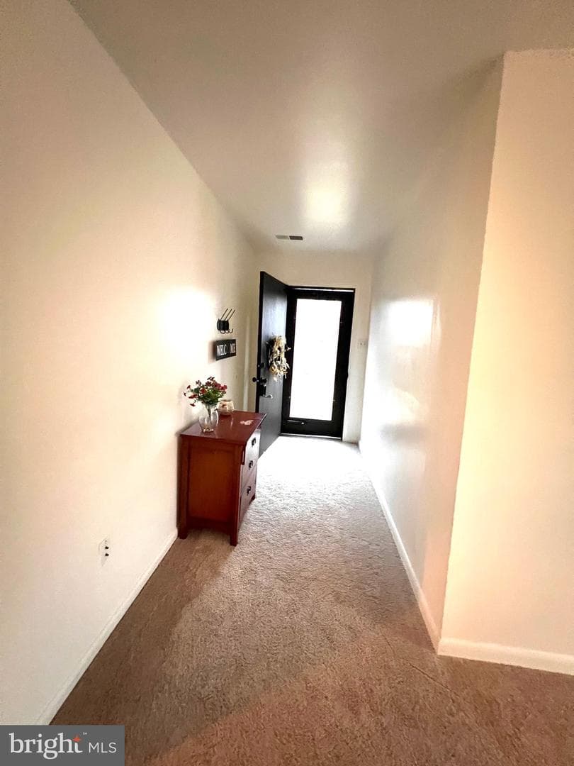 4129 Meadowland Court photo 13