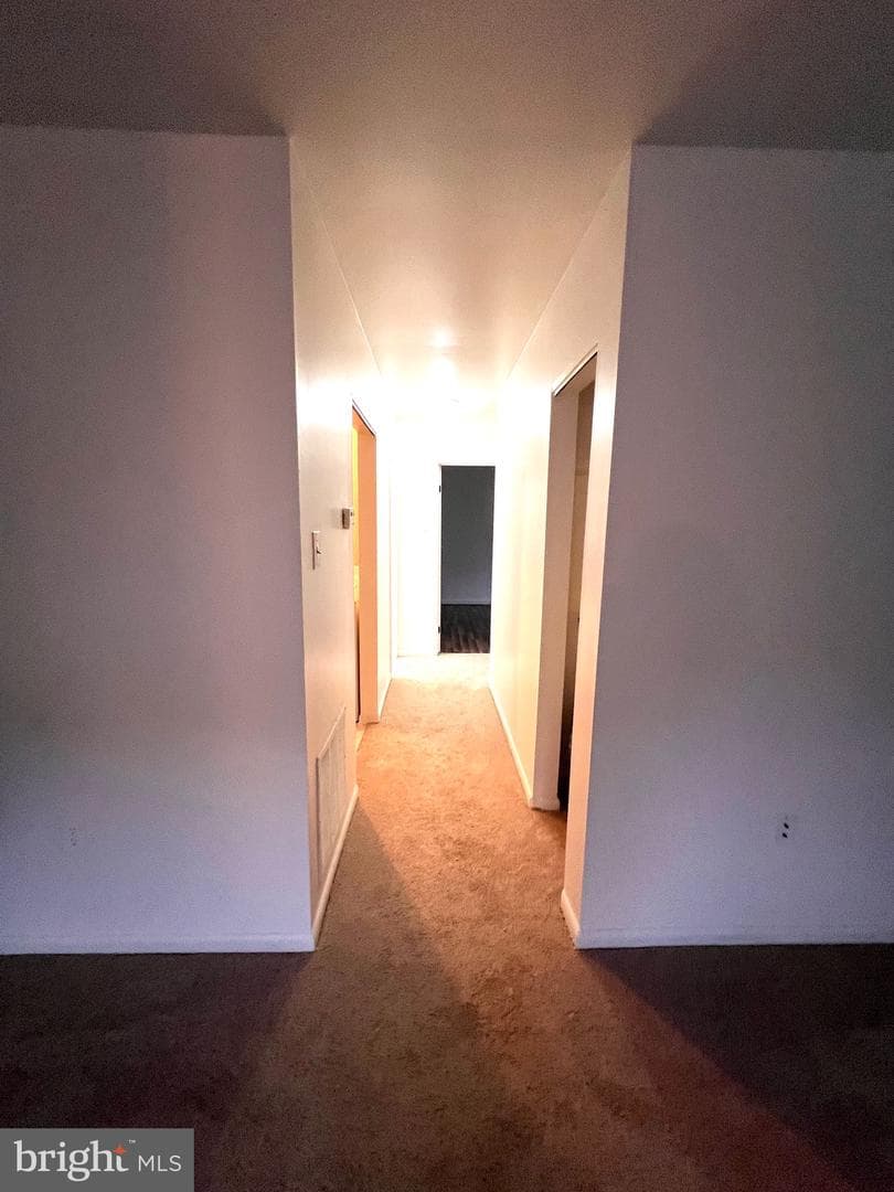 4129 Meadowland Court photo 14