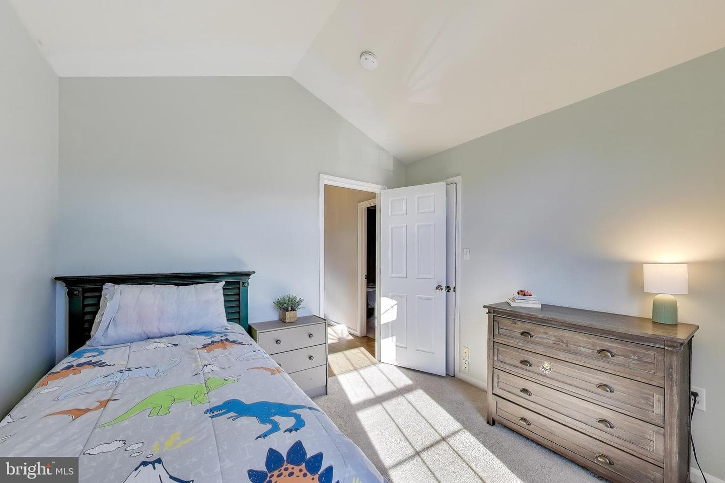 13252 Stone Heather Drive photo 35