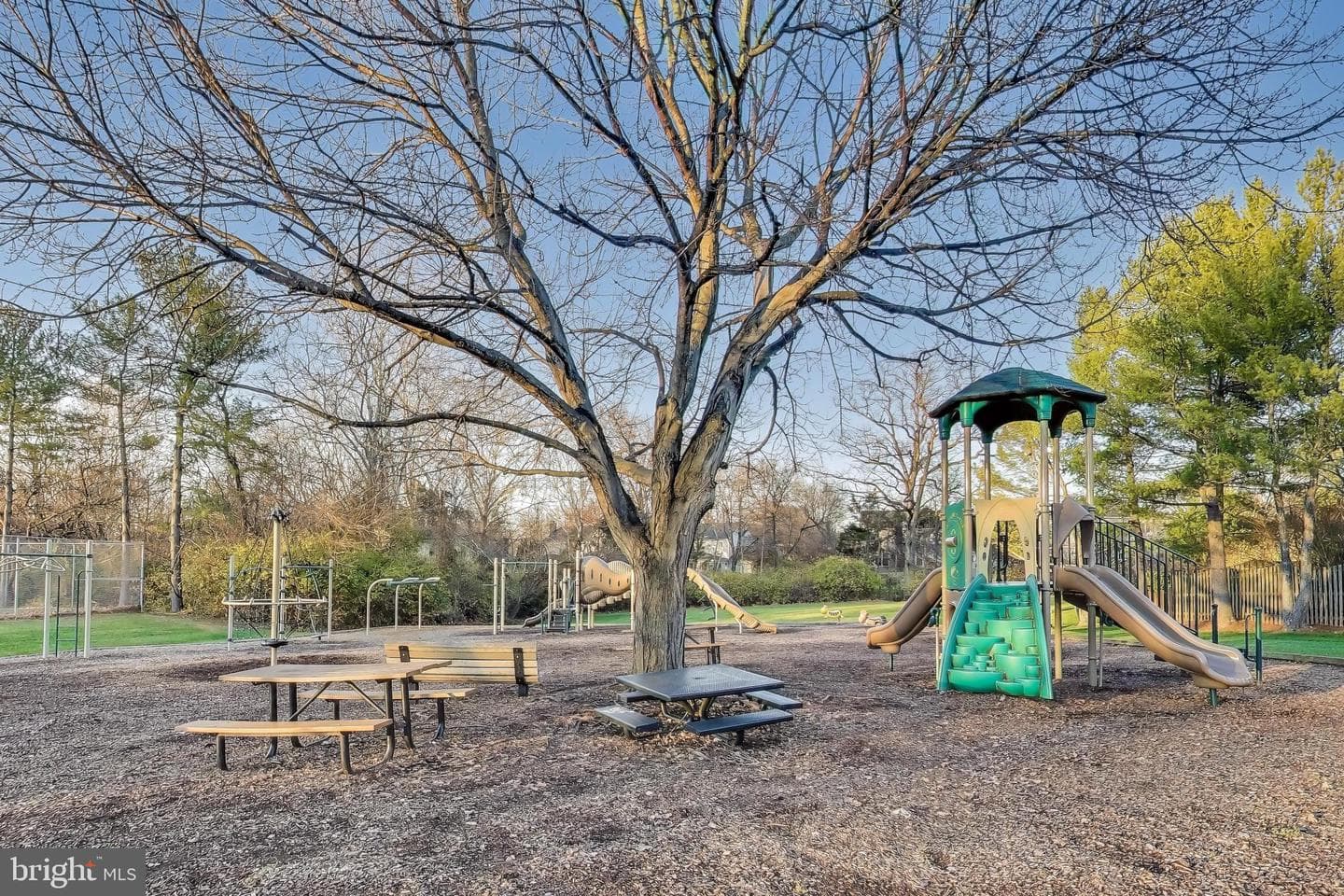 13252 Stone Heather Drive photo 58