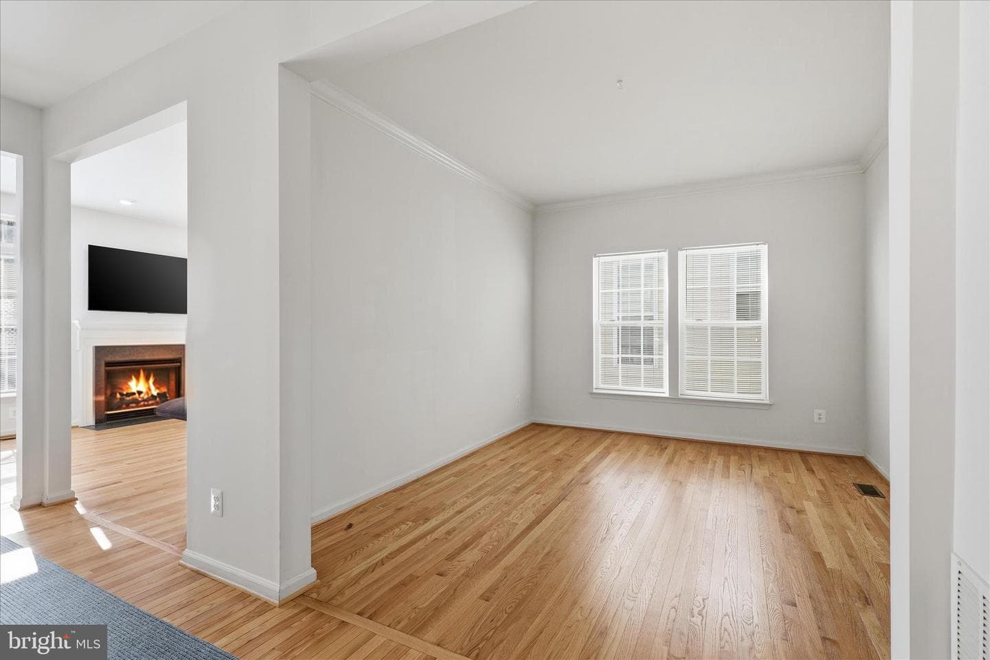 7967 William Augustus Court photo 14