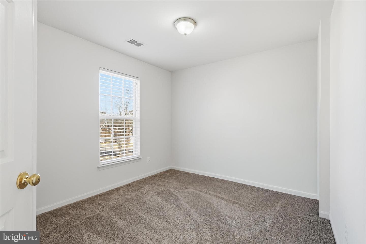 7967 William Augustus Court photo 26
