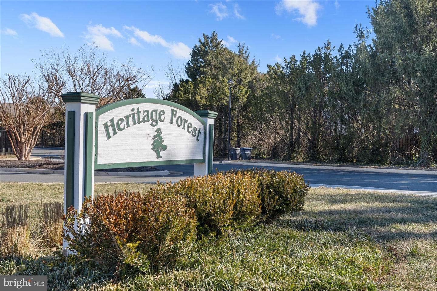 14012 Betsy Ross Lane photo 49