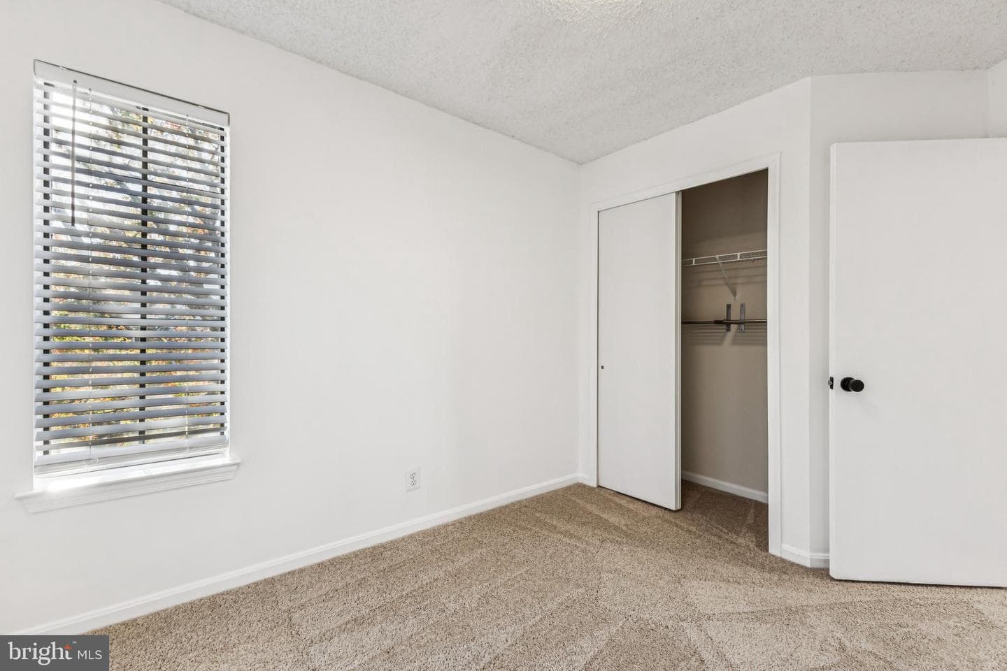 6006 Curtier Drive #f photo 12