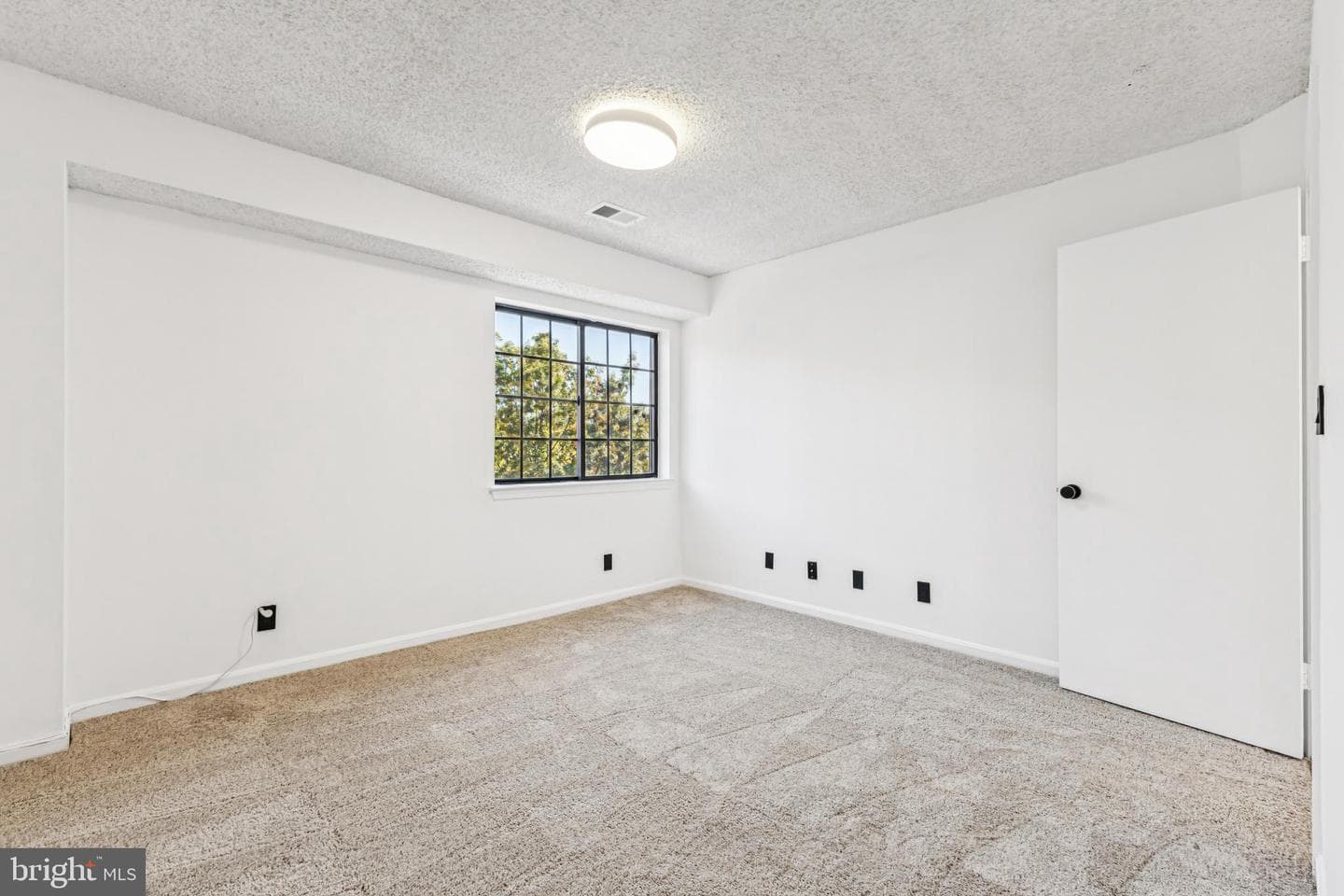 6006 Curtier Drive #f photo 13