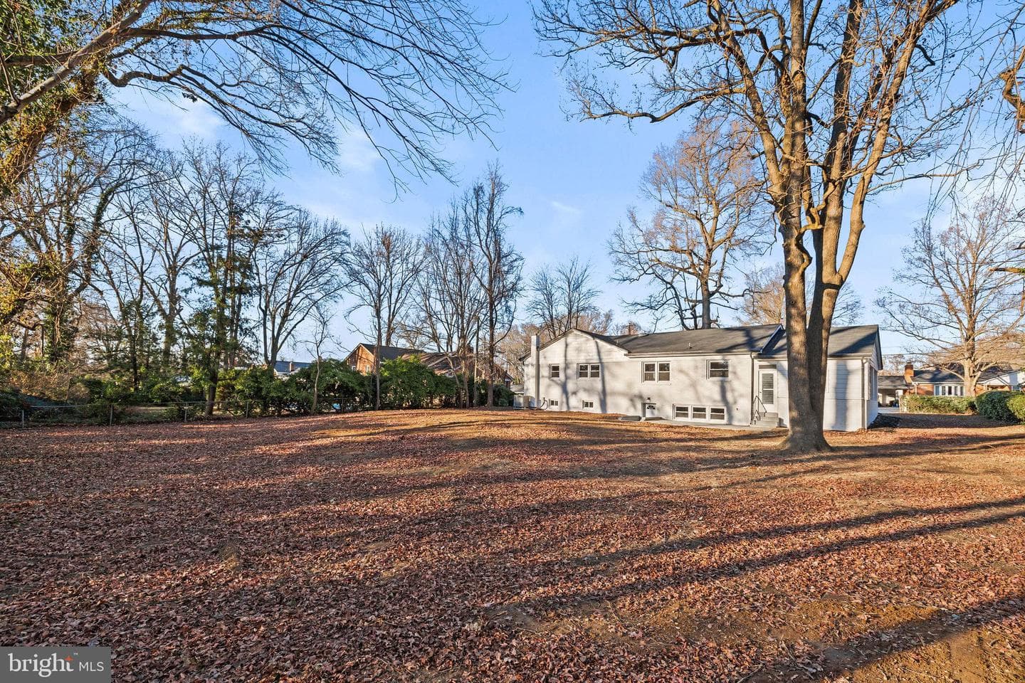 4405 Laurel Road photo 50