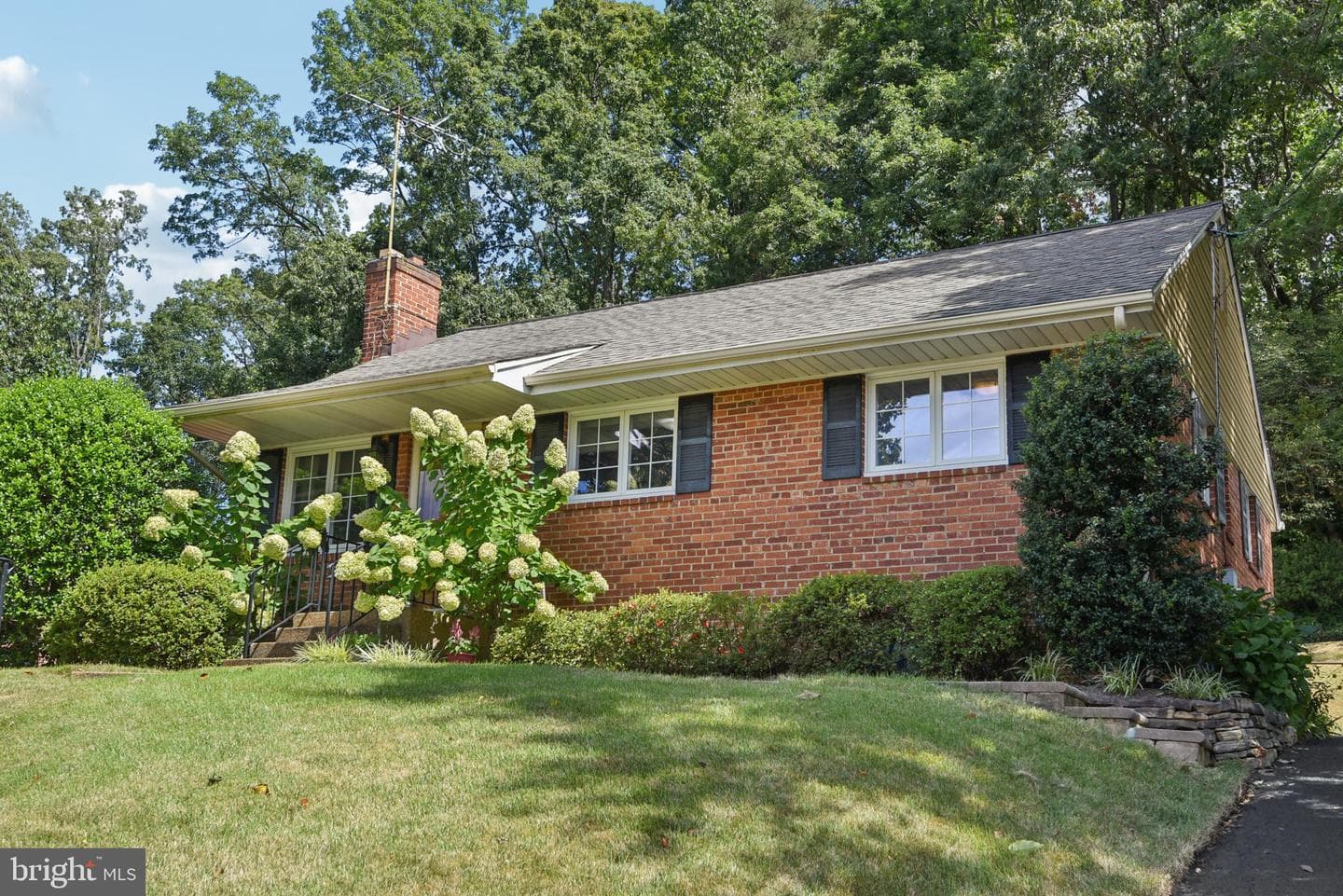3539 Marvin Street photo 3