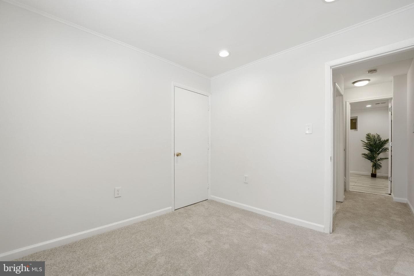 9652 Lindenbrook Street photo 37