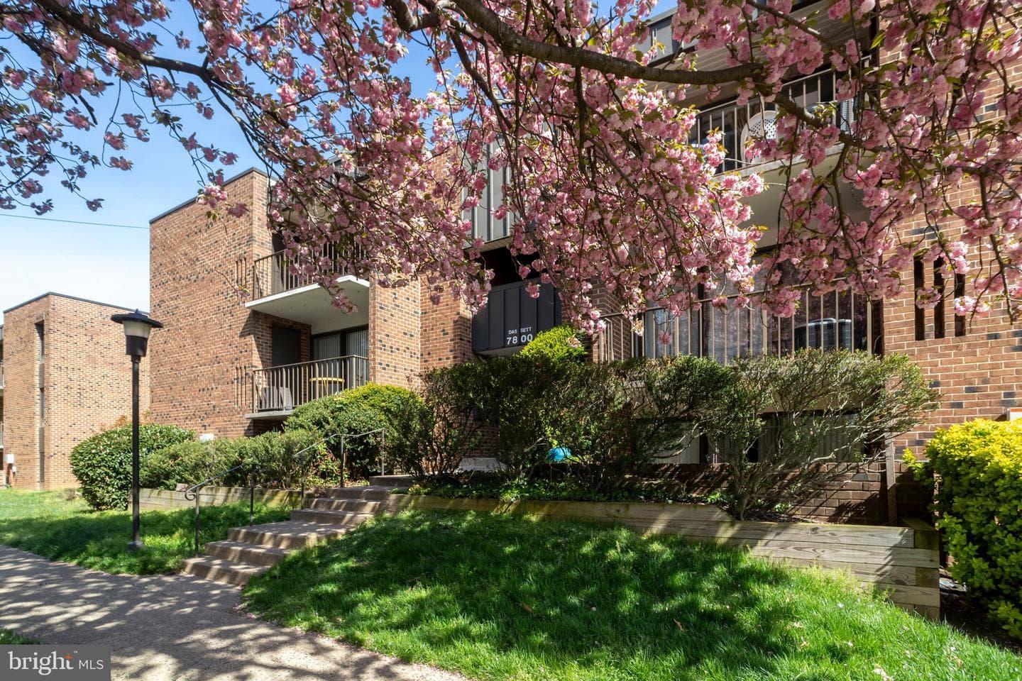 7800 Dassett Court #204 photo 3