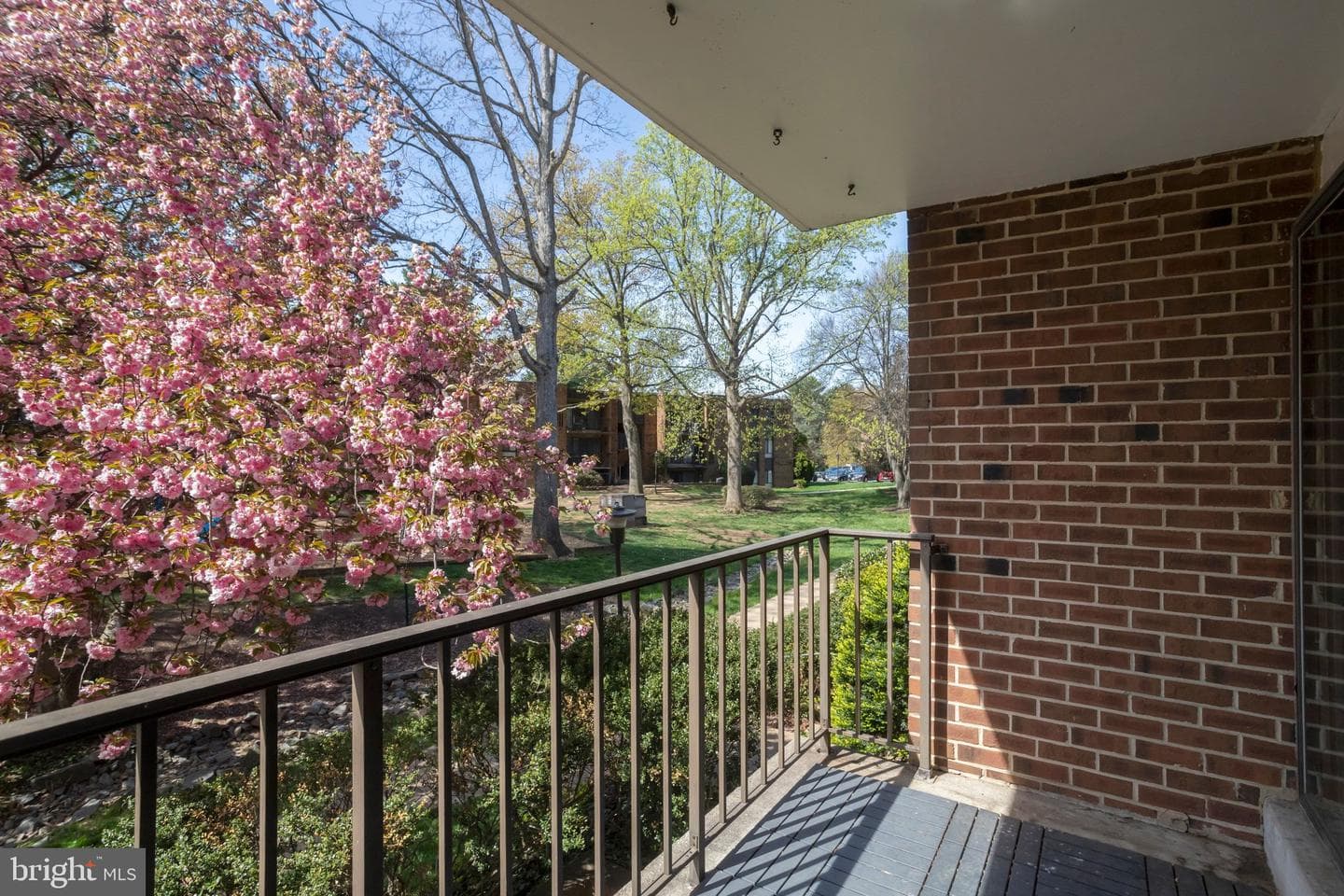7800 Dassett Court #204 photo 35