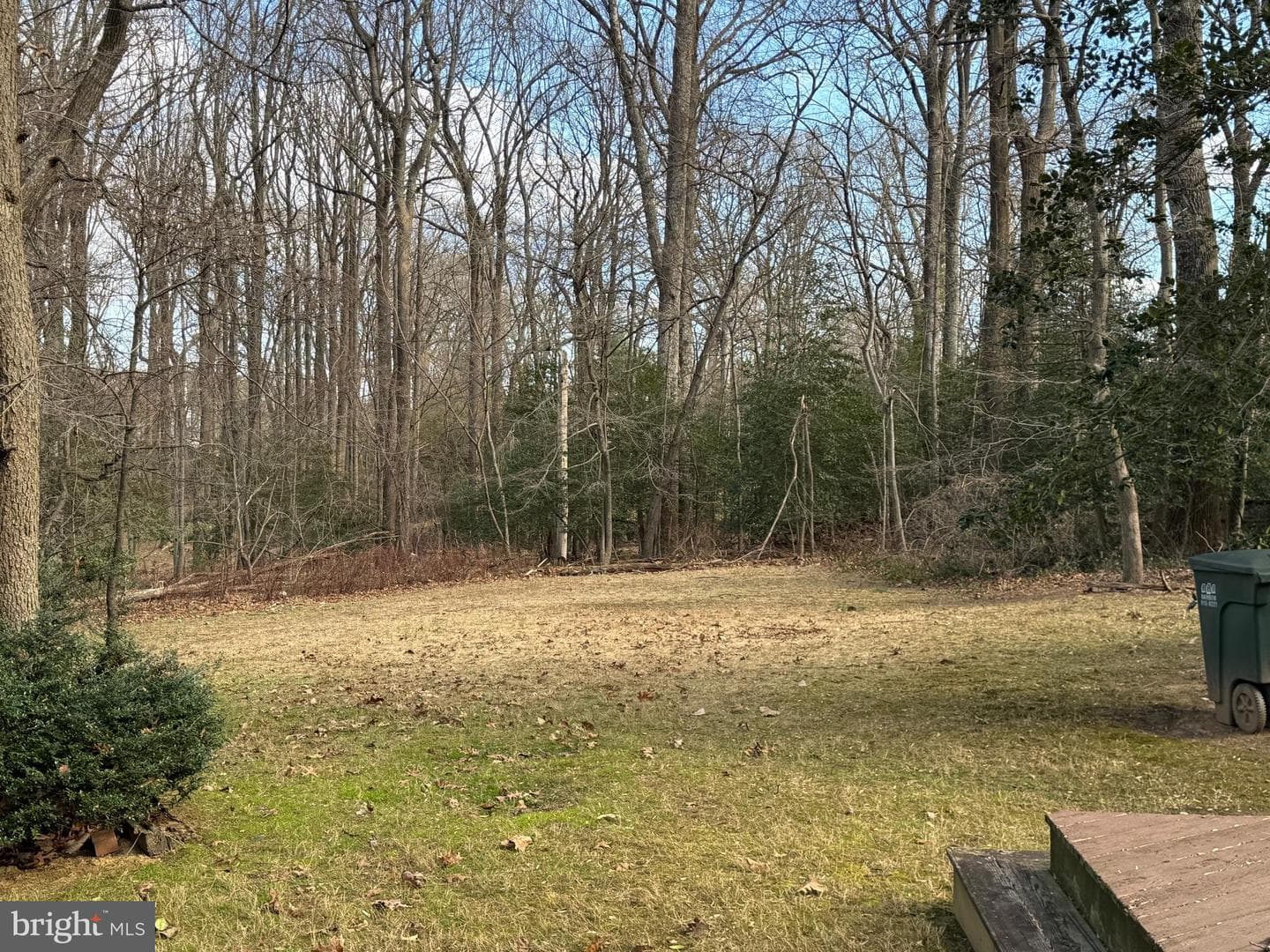11704 Foxvale Court photo 2