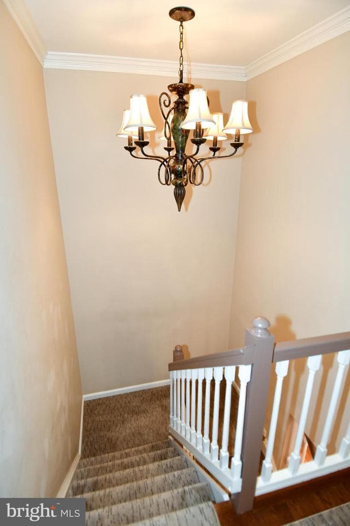 3891 Mohr Oak Court photo 20