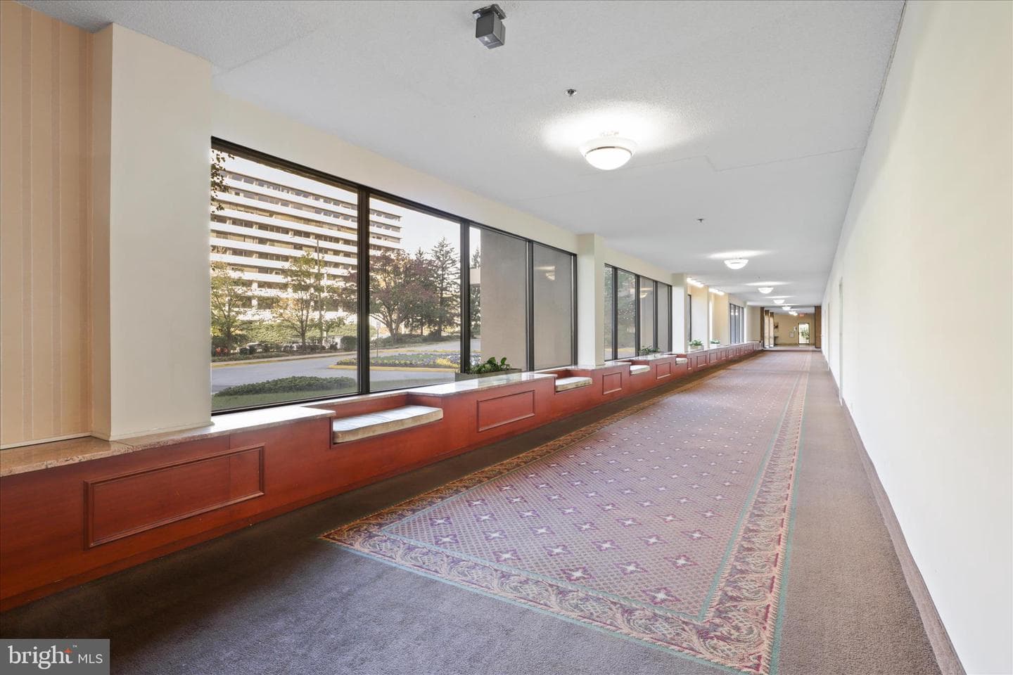 3713 S George Mason Drive #1605w photo 33