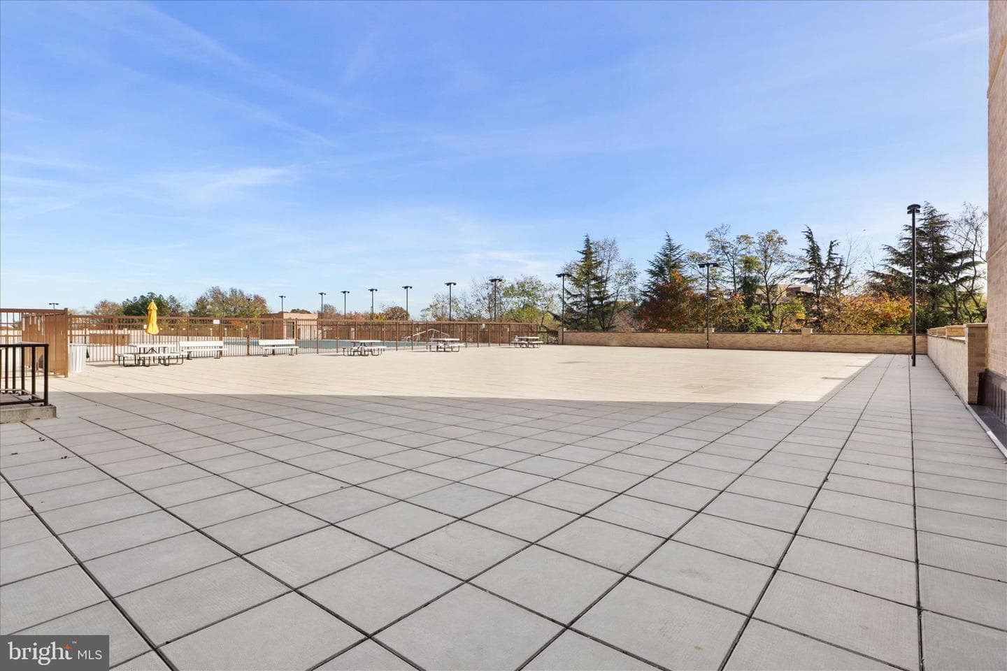 3713 S George Mason Drive #1605w photo 34