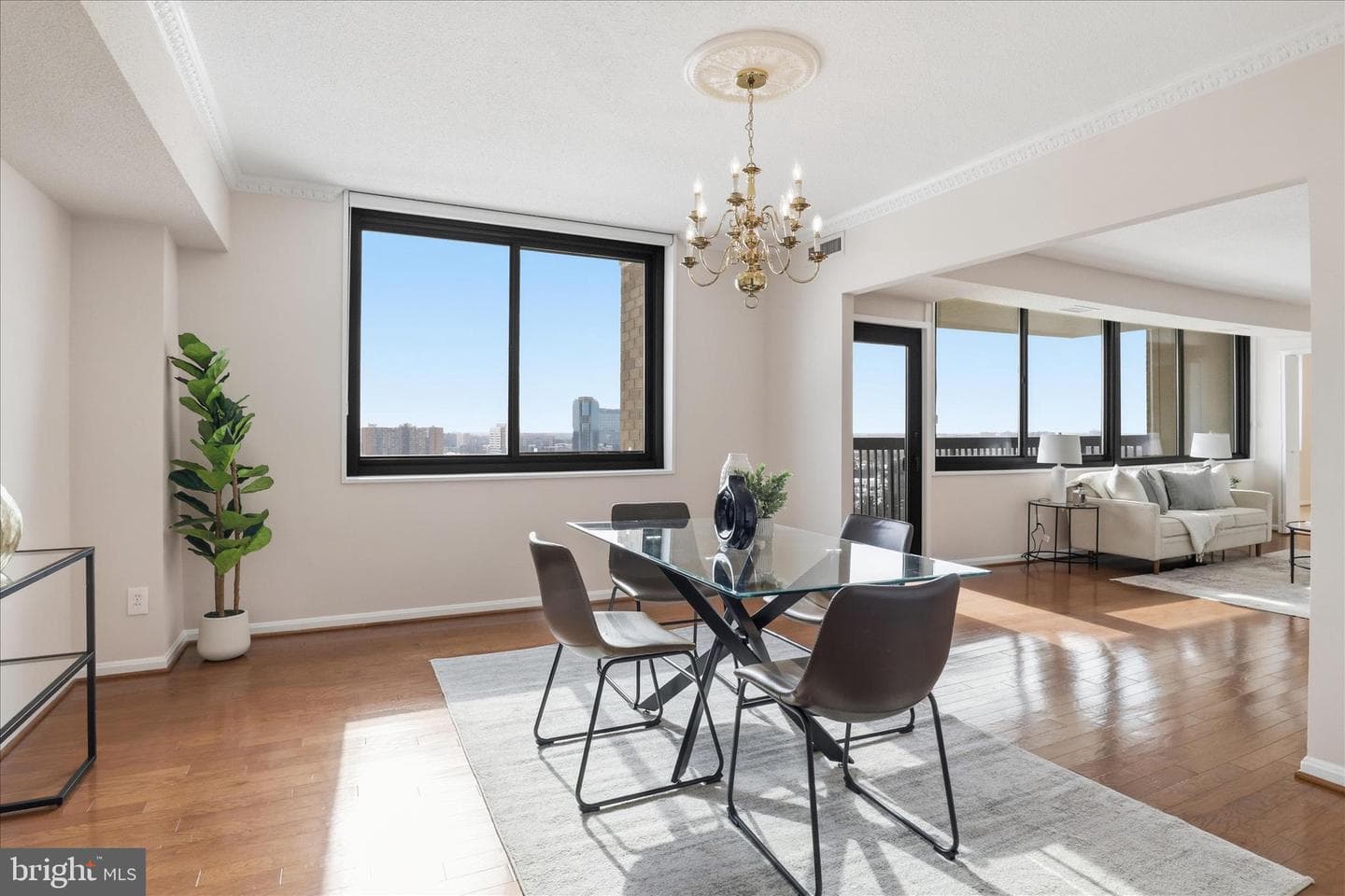 3713 S George Mason Drive #1605w photo 9