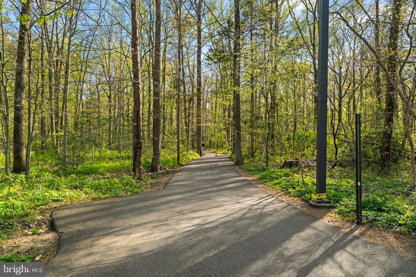 7005 Grove Road photo 45