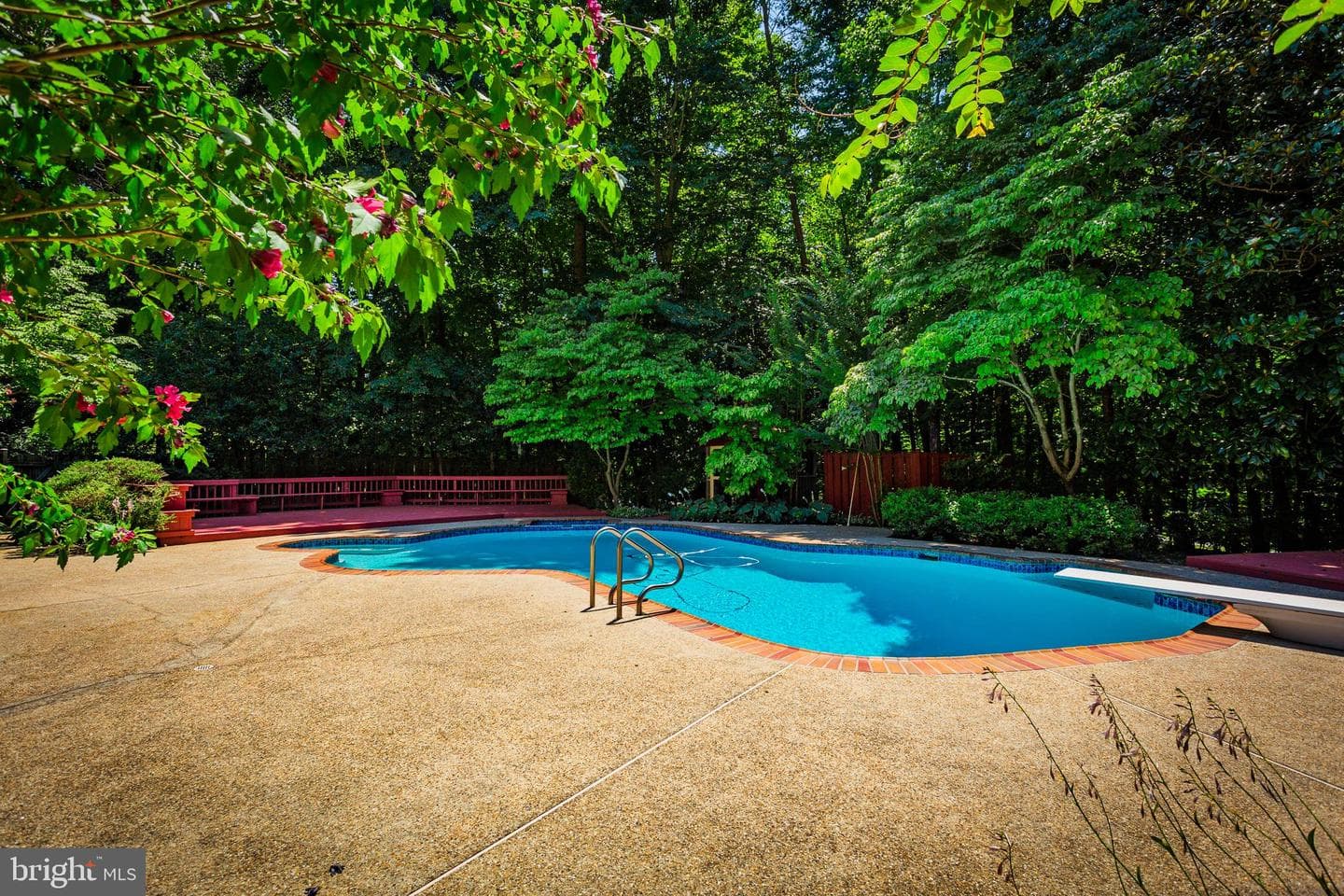 10525 Summerwind Lane photo 76