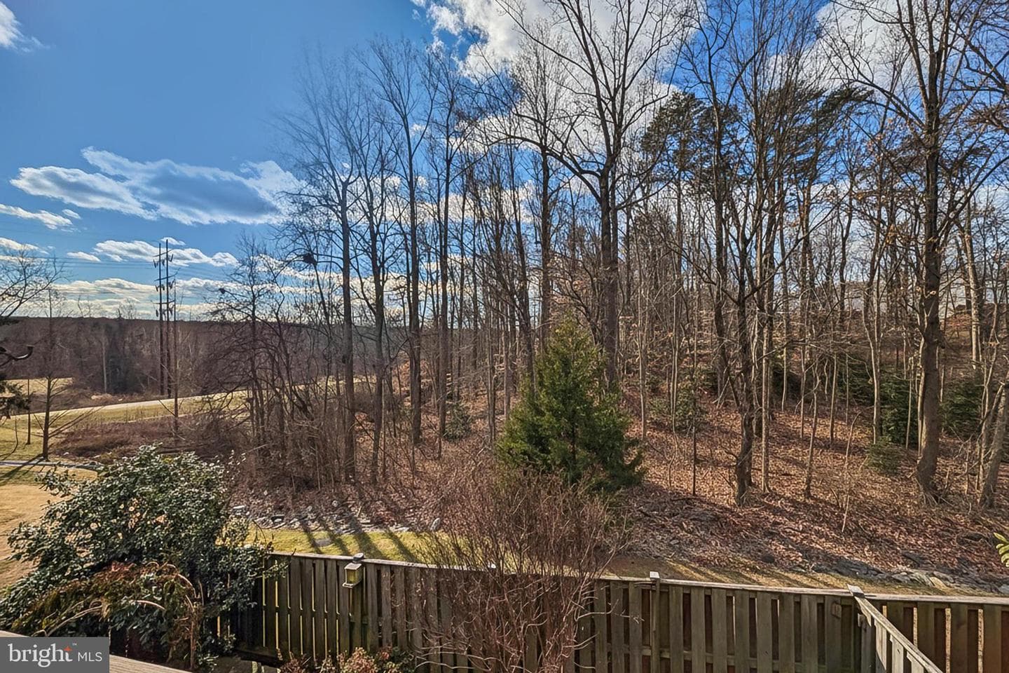 13855 Laura Ratcliff Court photo 49