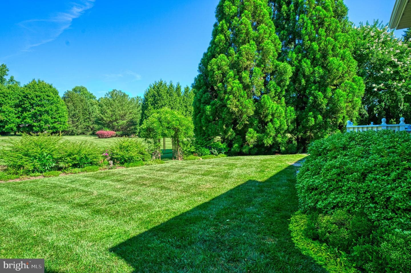 10812 Crippen Vale Court photo 69