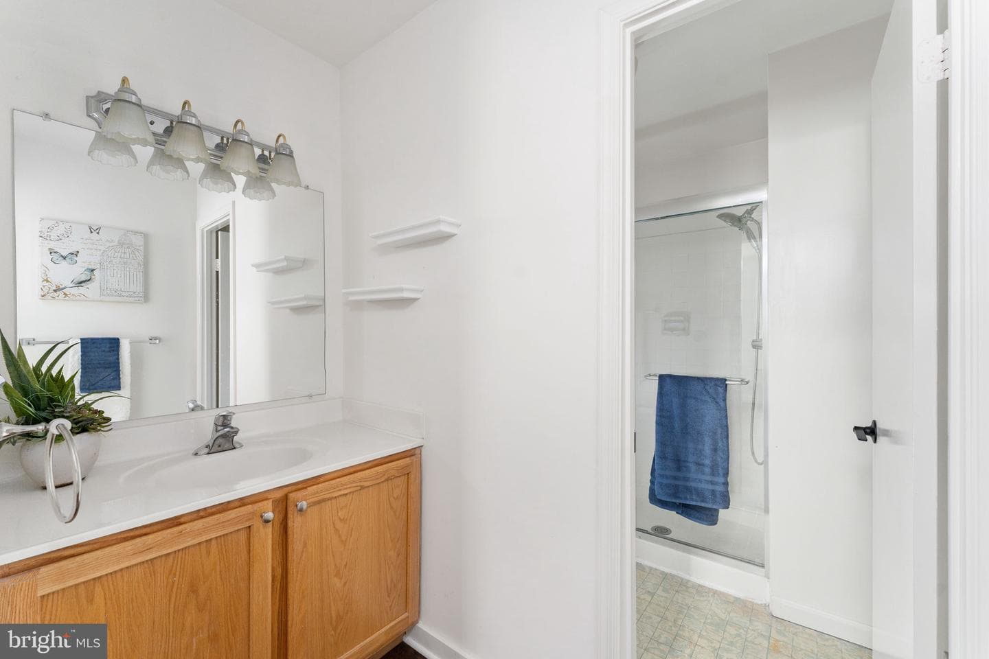 10456 Malone Court photo 34