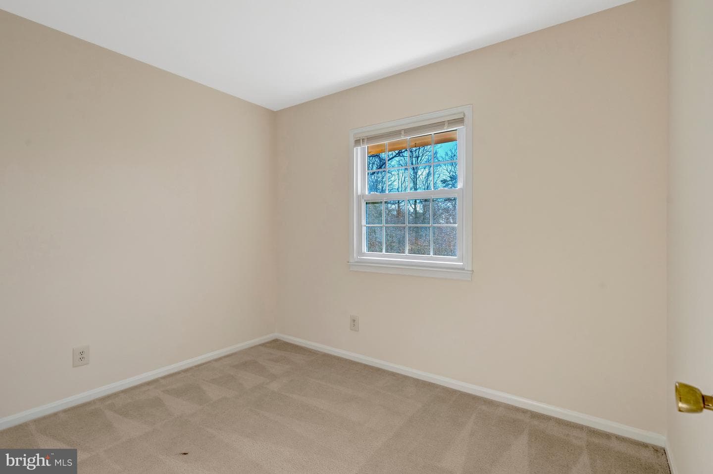6306 Paddington Lane photo 16