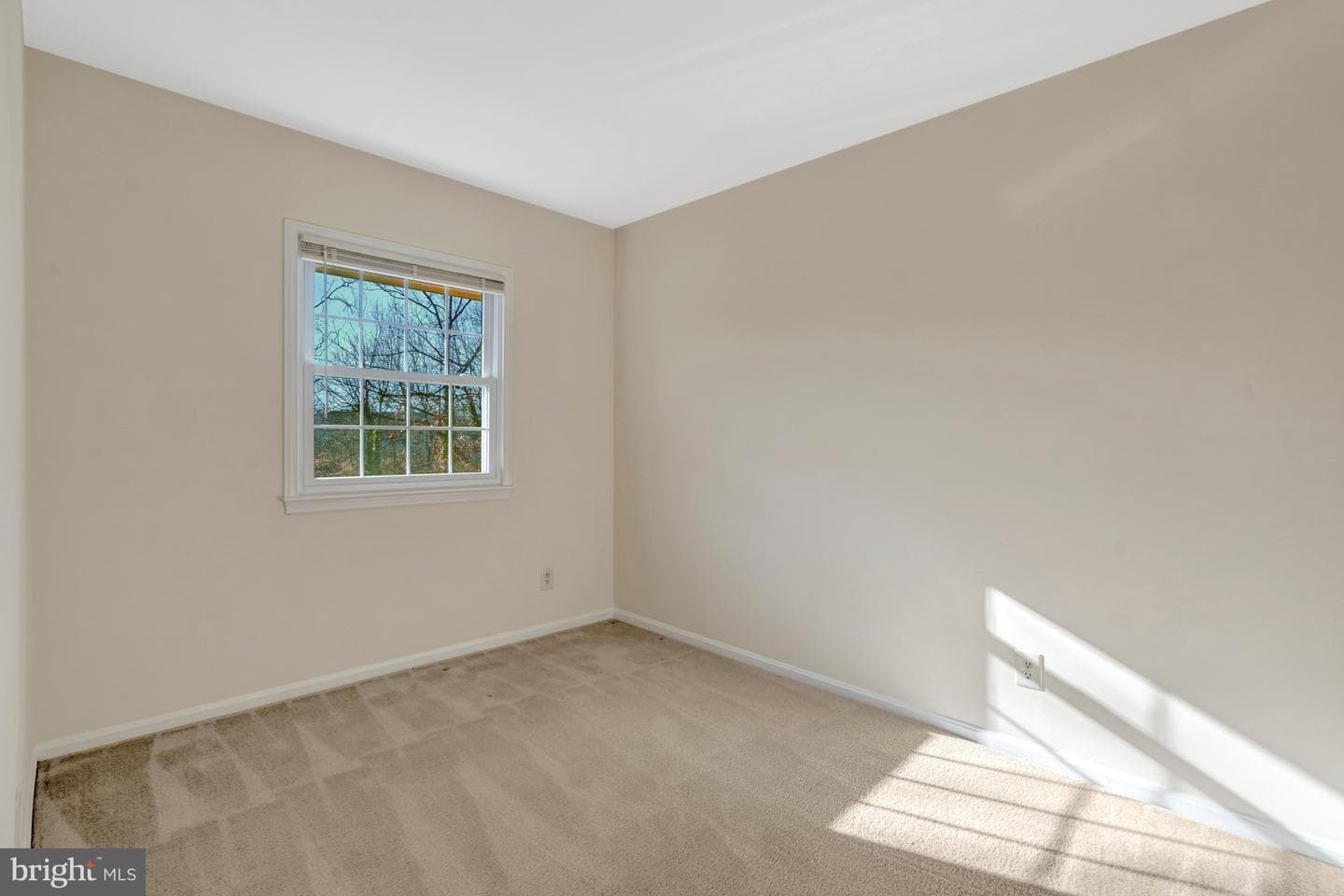 6306 Paddington Lane photo 18
