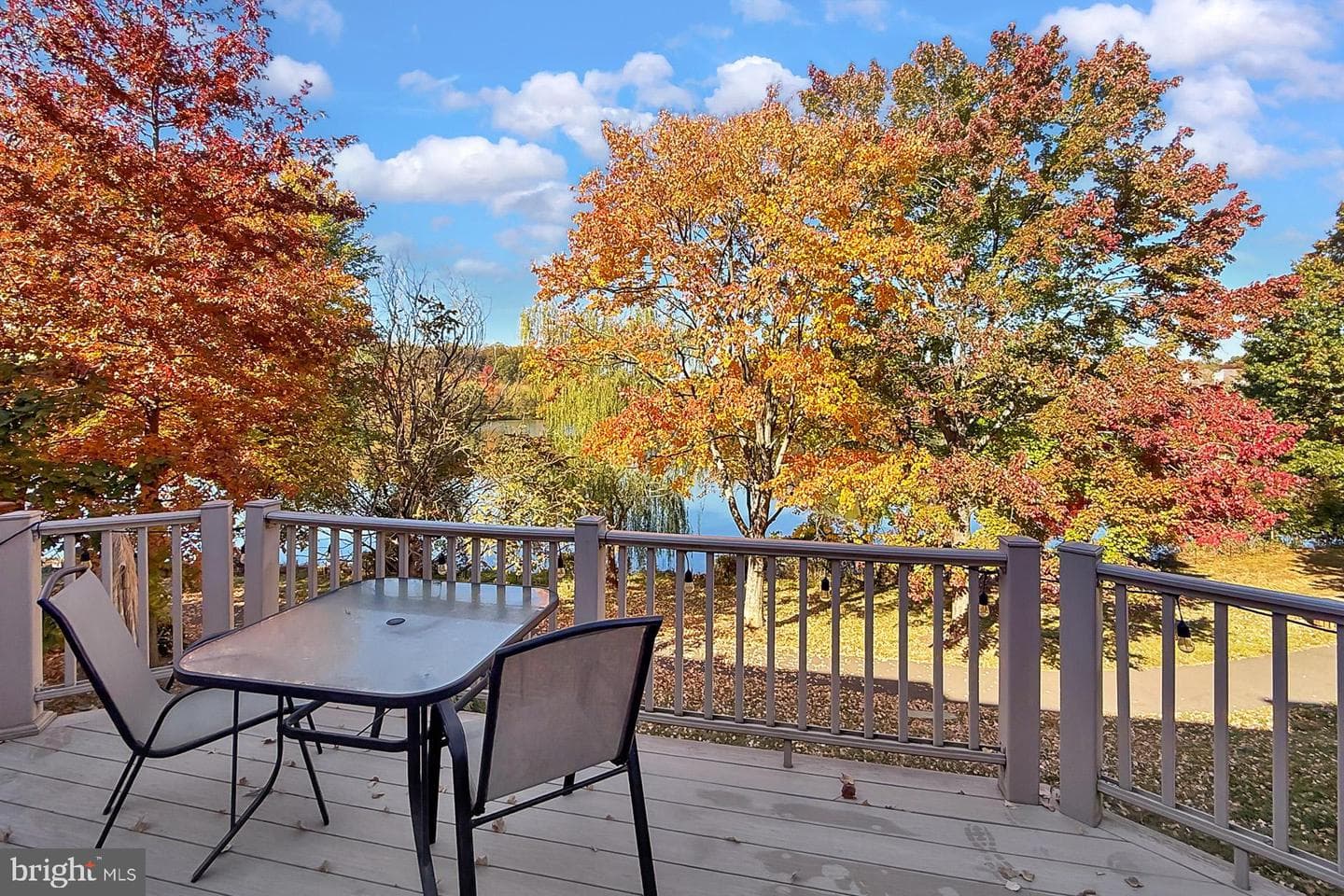 2938 Bridgehampton Court photo 63