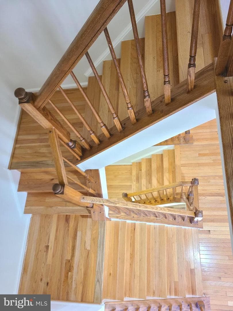8118 Horseshoe Cottage Circle photo 18