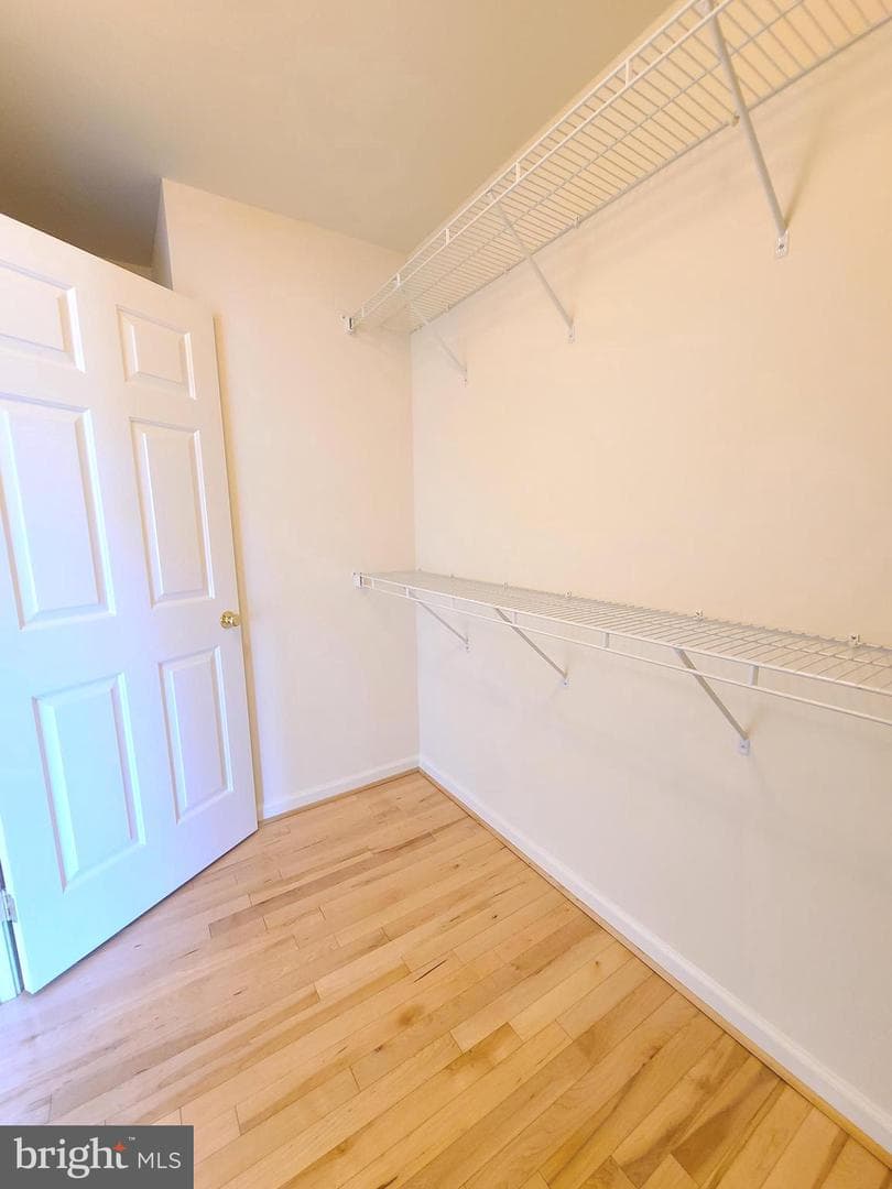 8118 Horseshoe Cottage Circle photo 38