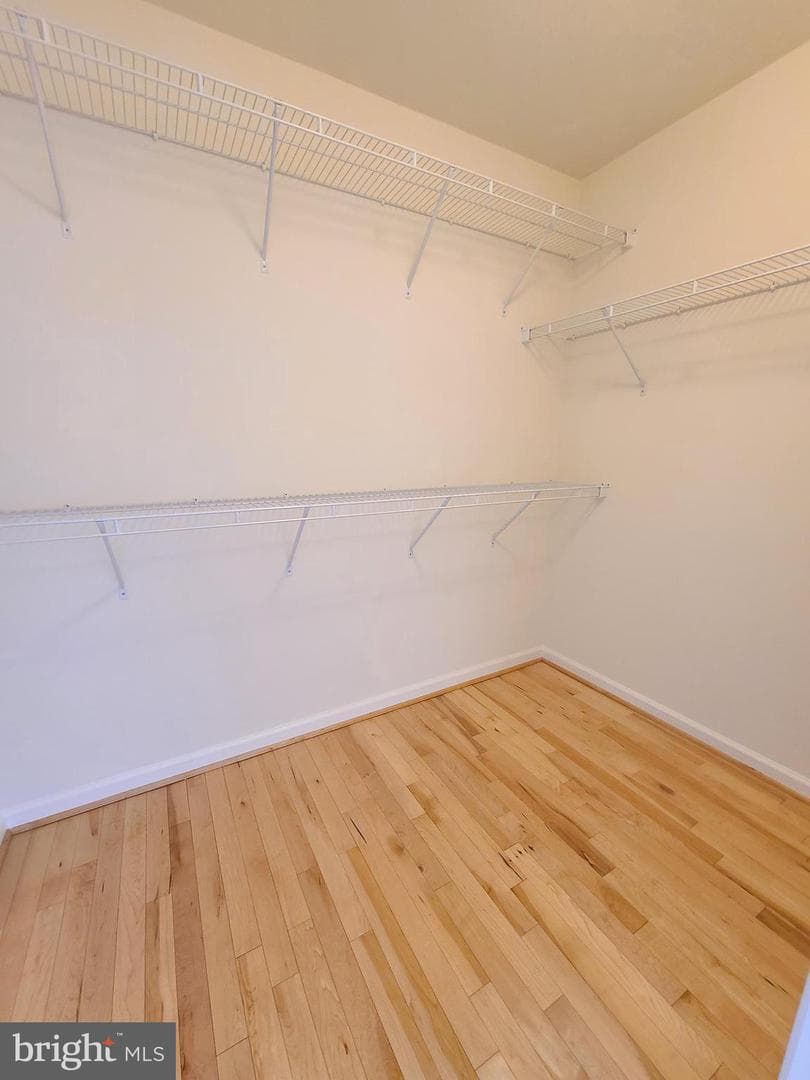 8118 Horseshoe Cottage Circle photo 39