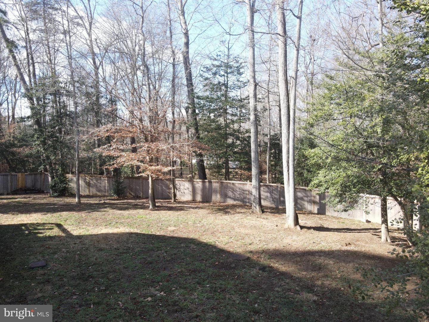 5980 Evergreen photo 40