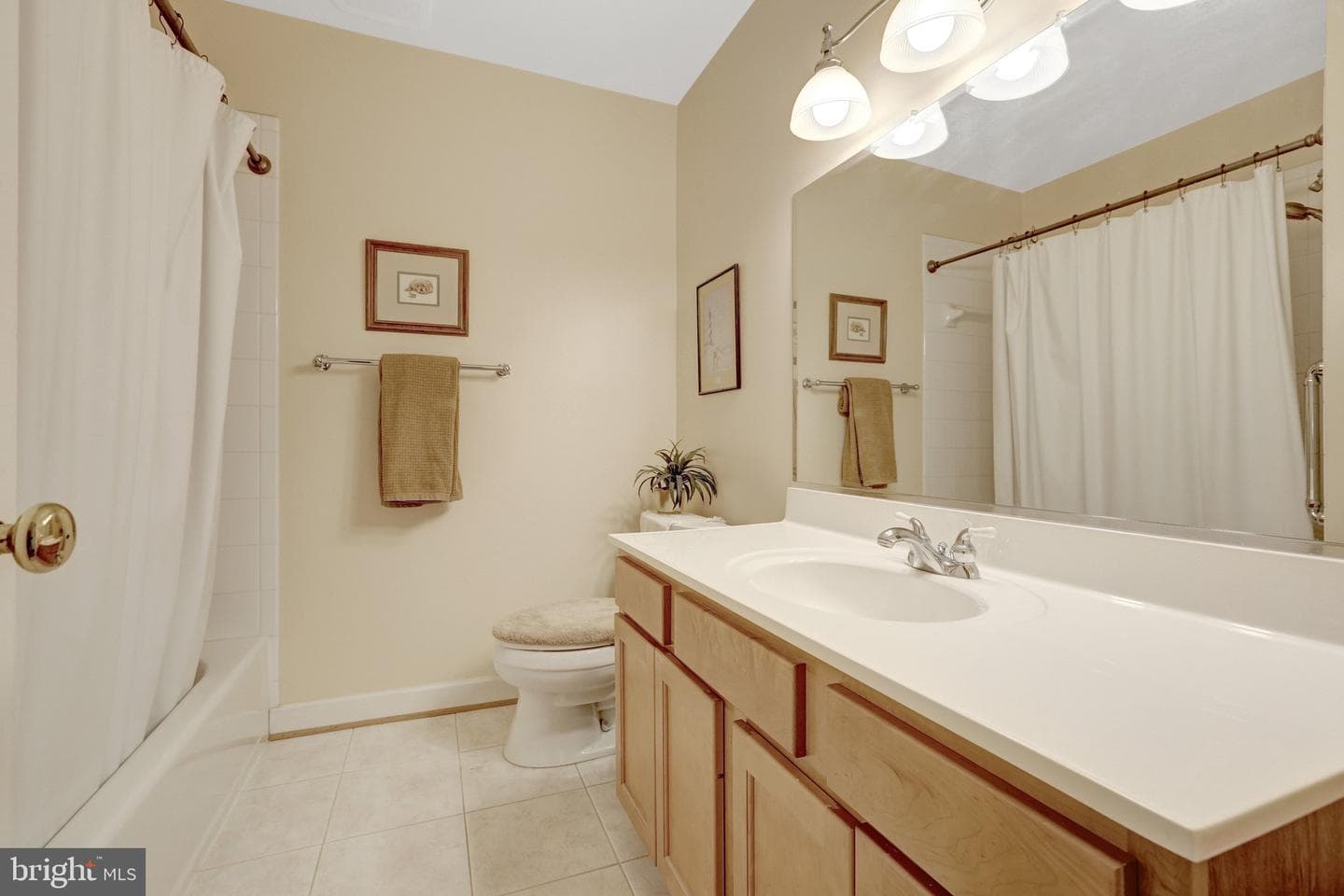 203 Locust Street SW photo 17