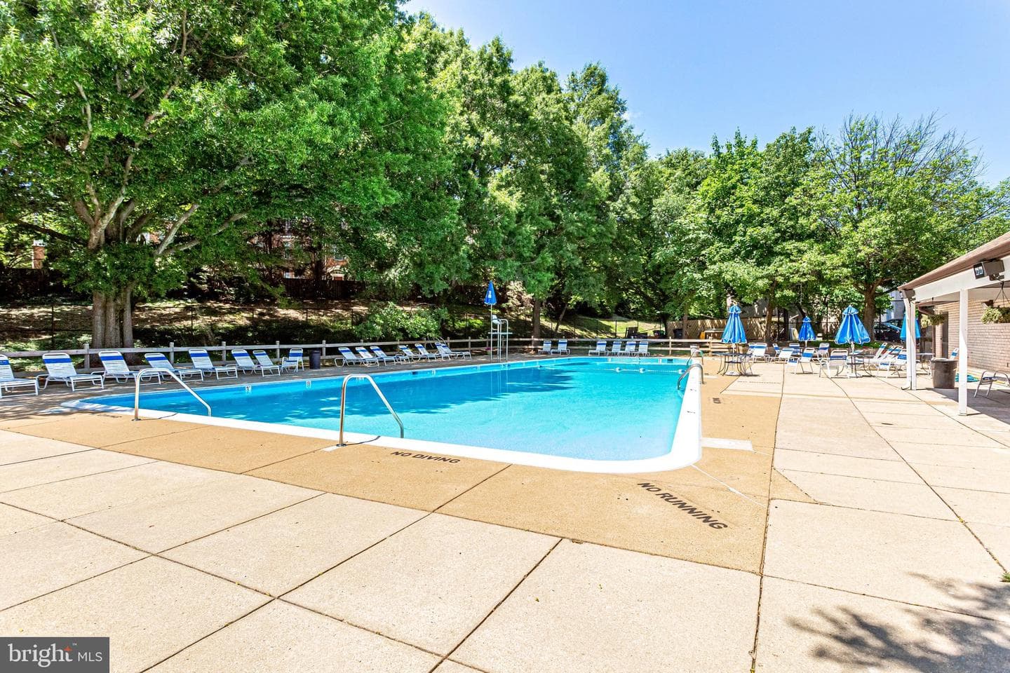 5612 Bloomfield Drive #204 photo 27
