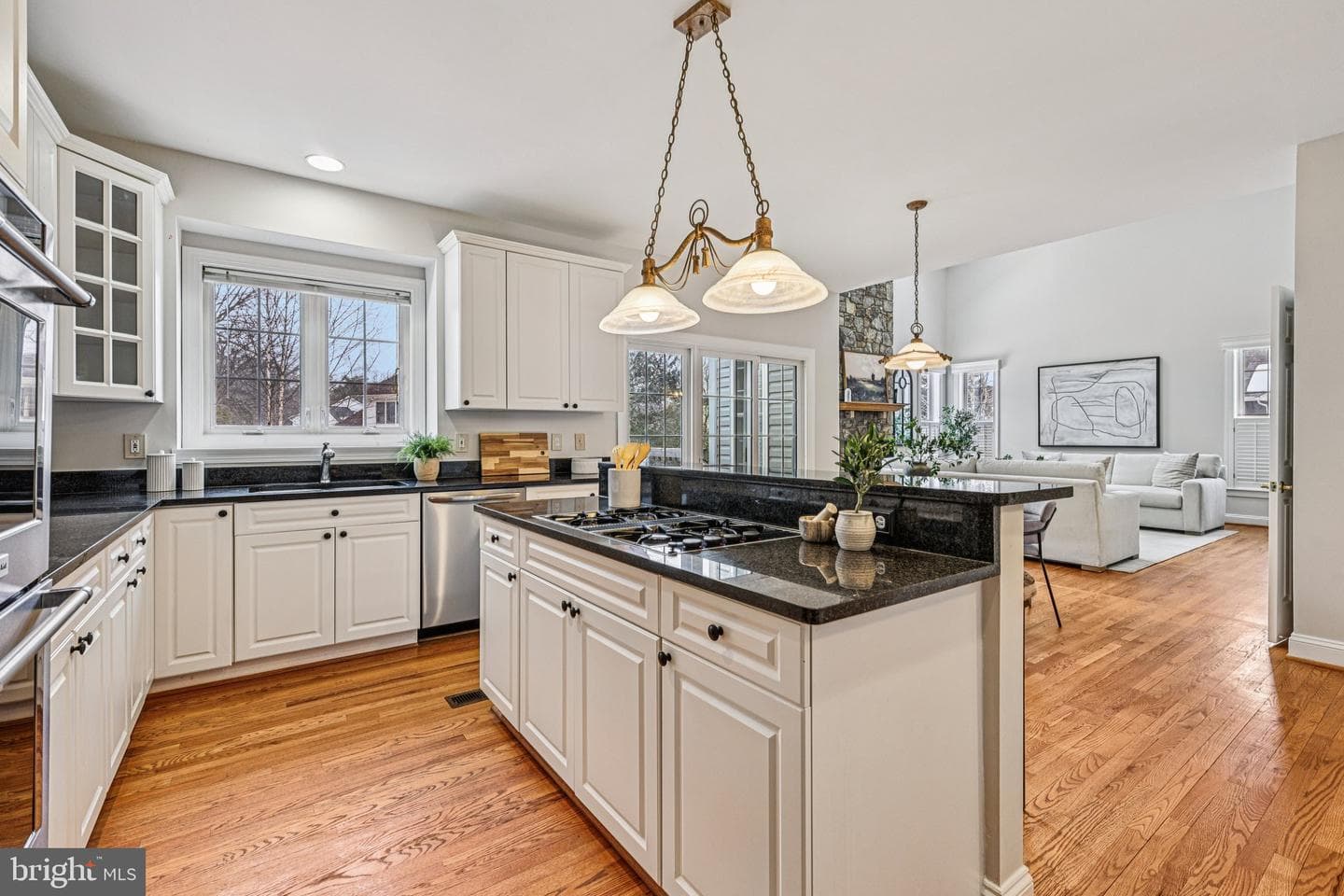 15462 Eagle Tavern Lane photo 15