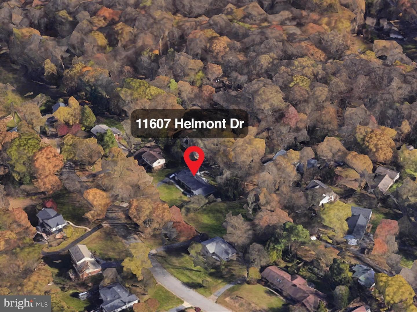 11607 Helmont Drive photo 41