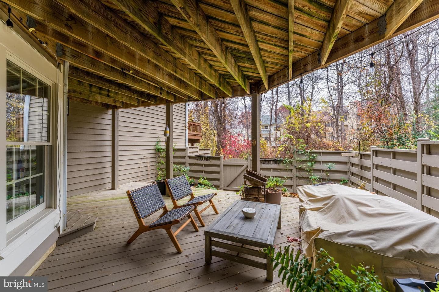 11426 Hollow Timber Court photo 38