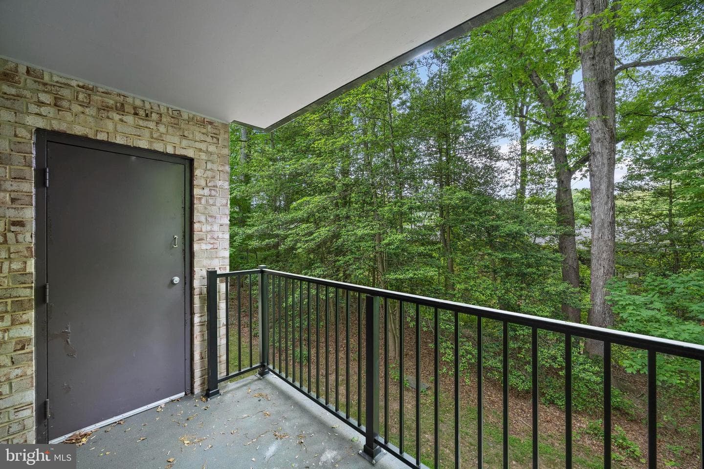 2216 Castle Rock Square #12c photo 24