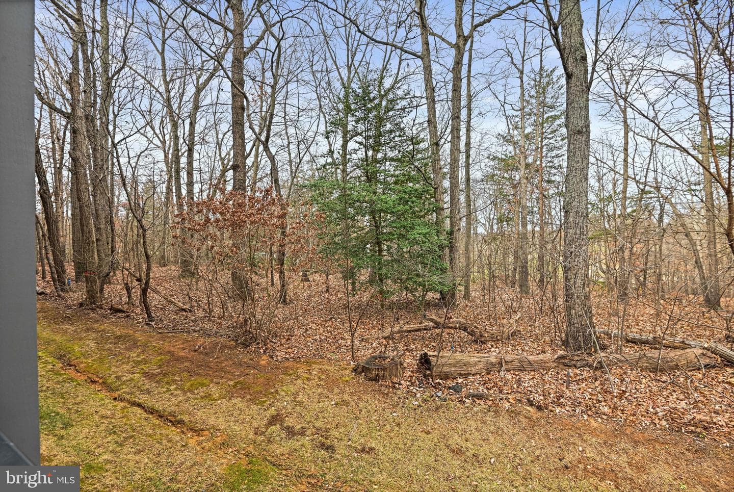 1669 Bandit Loop #109a photo 27