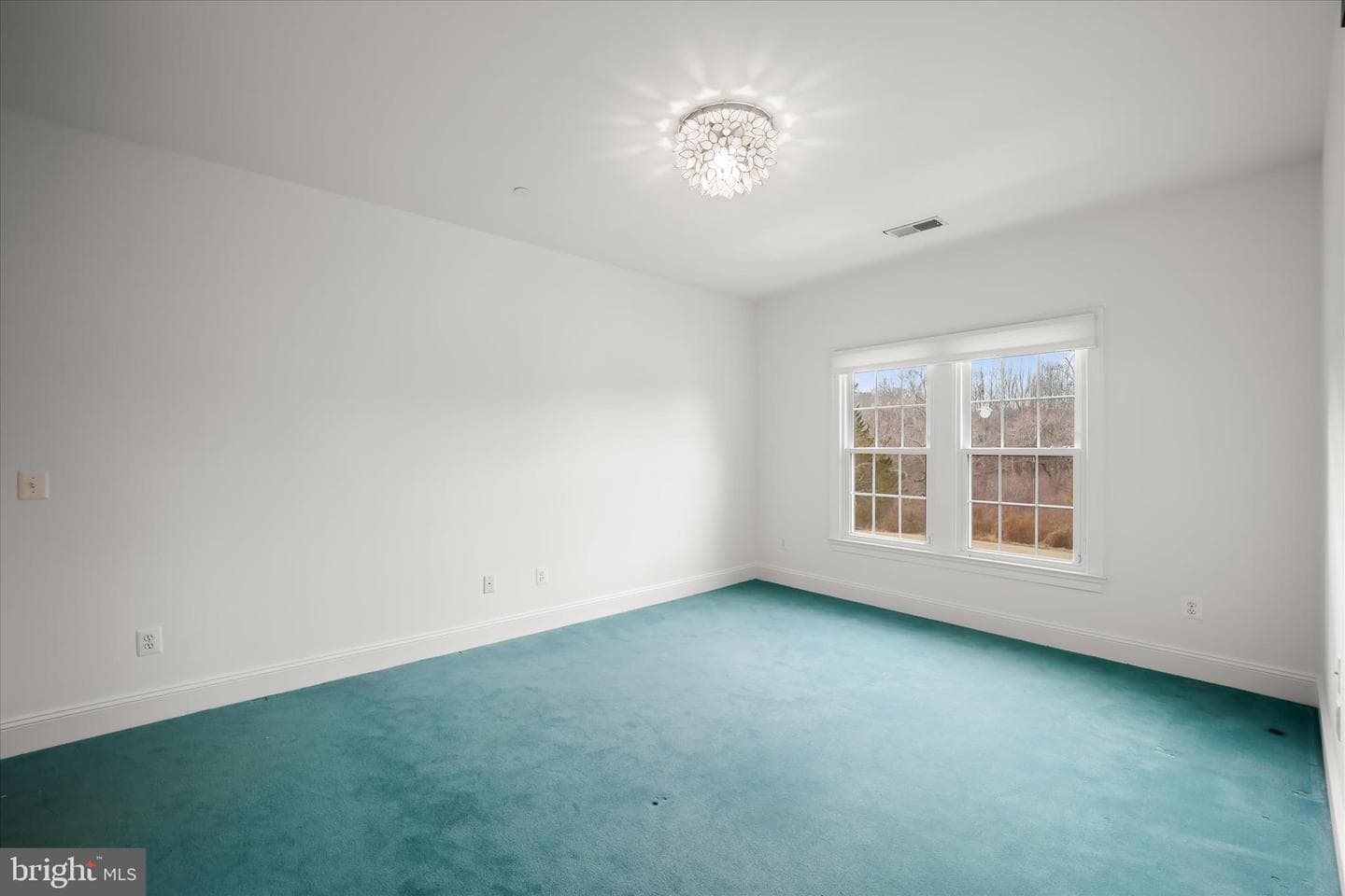 13215 Twin Lakes Drive photo 67