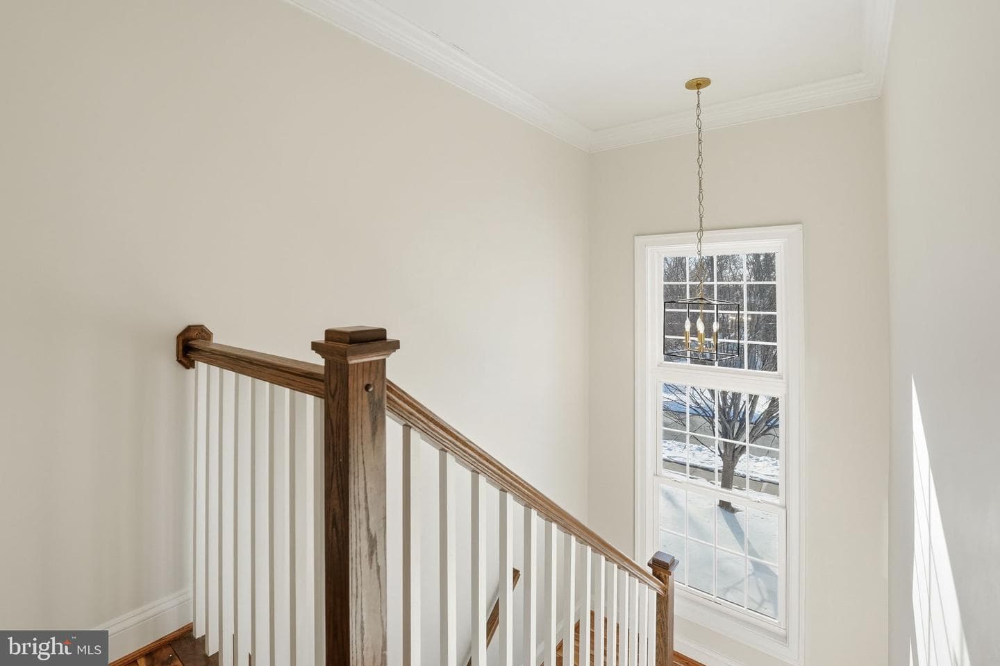 2905 Hibbard Street photo 35
