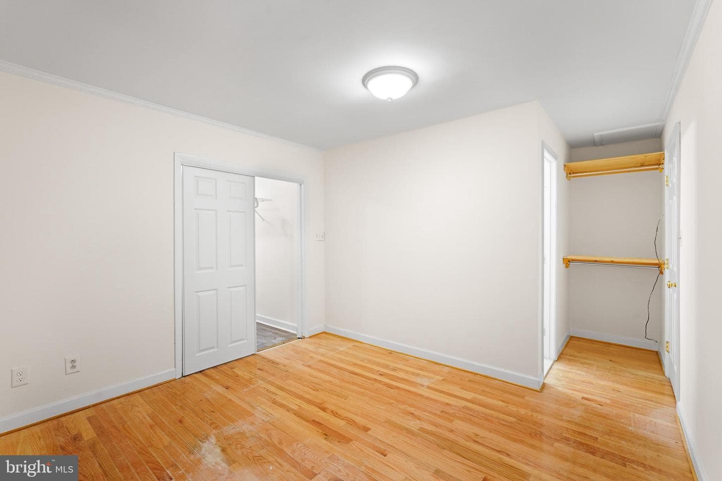 7423 Exmore Street photo 23