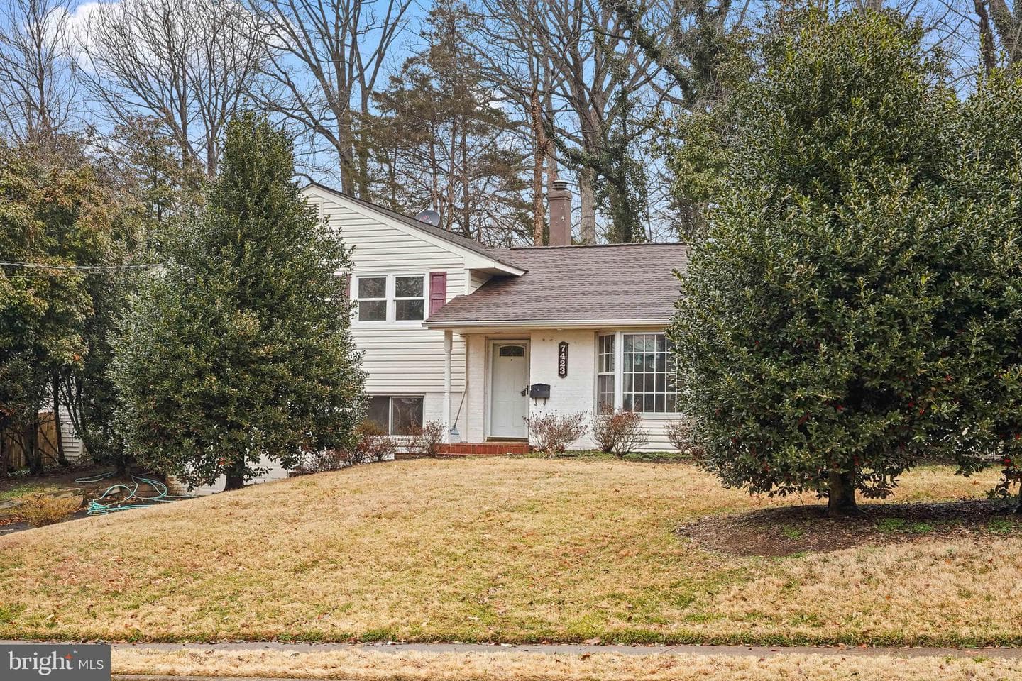 7423 Exmore Street photo 4