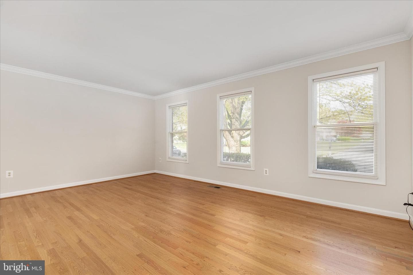 7917 Donegal Ln photo 5