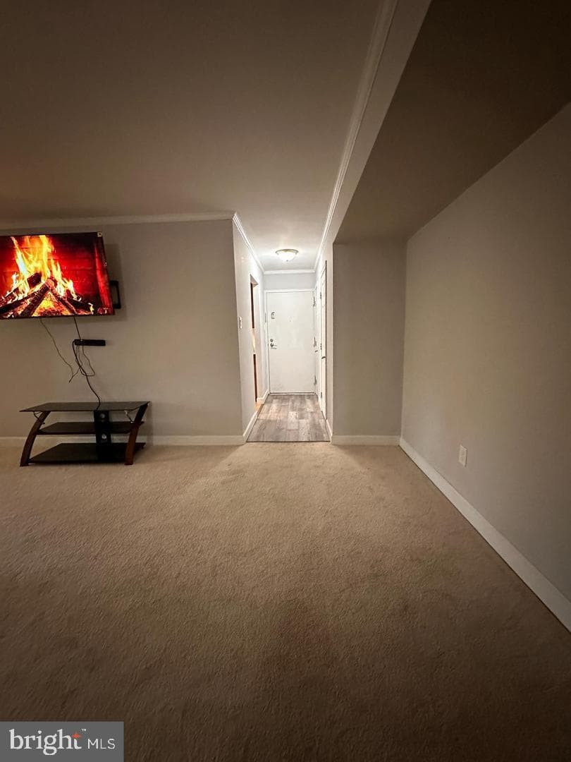 525 Florida Avenue #202 photo 11