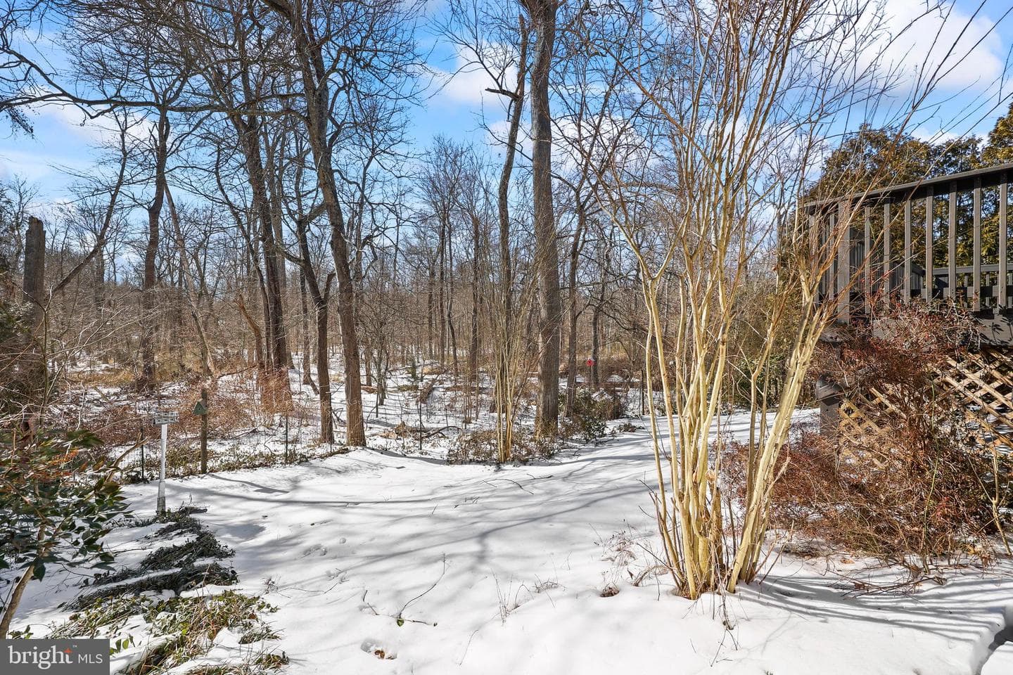 7611 Camp Alger Avenue photo 40