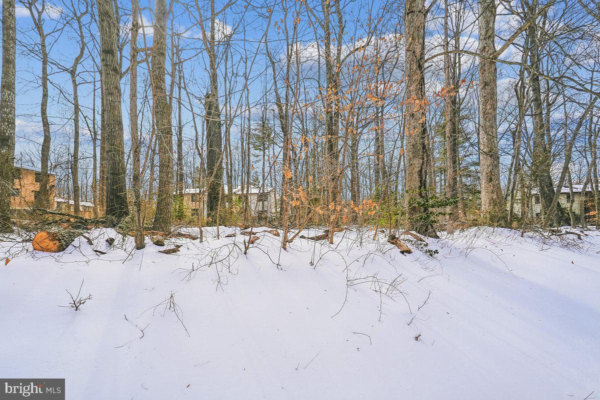 2315 Emerald Heights Court photo 11