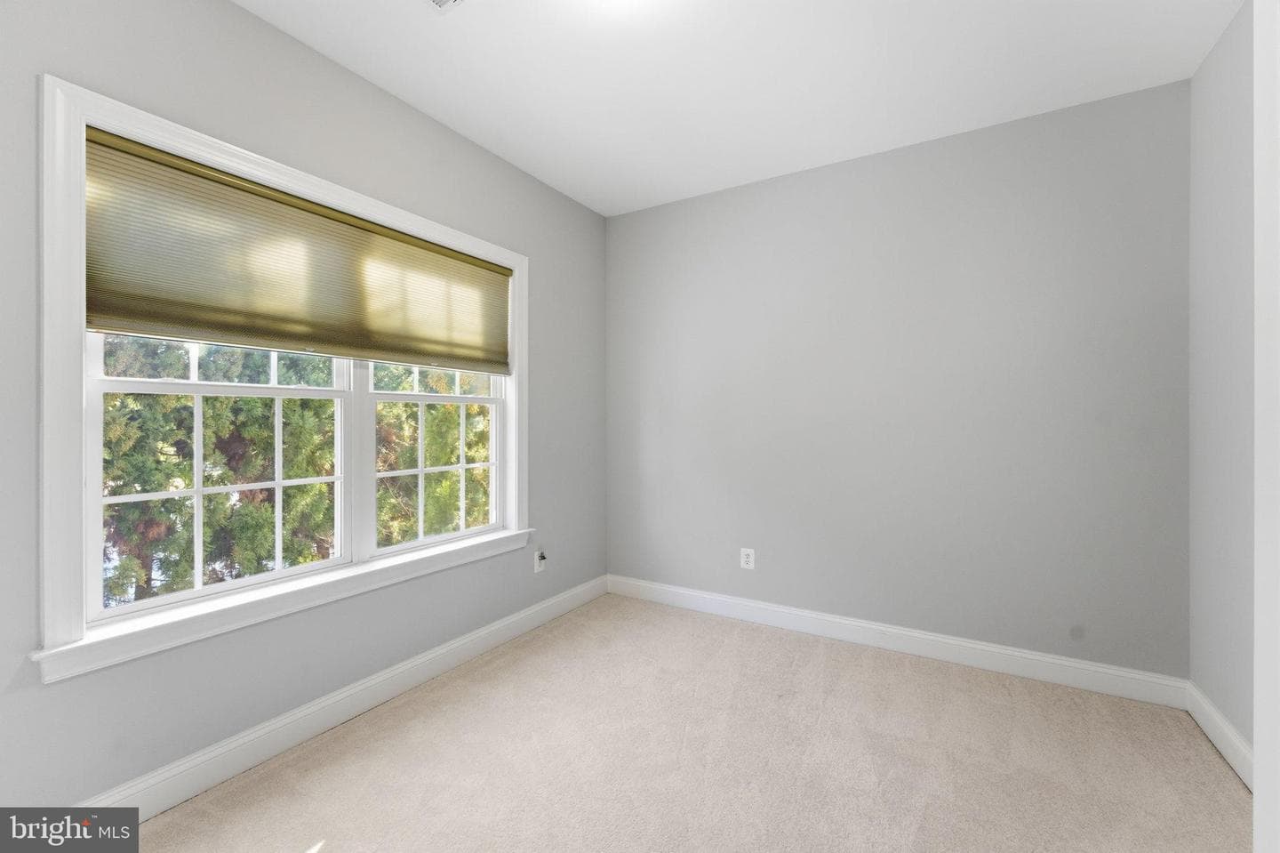 2781 Middleton Farm photo 48