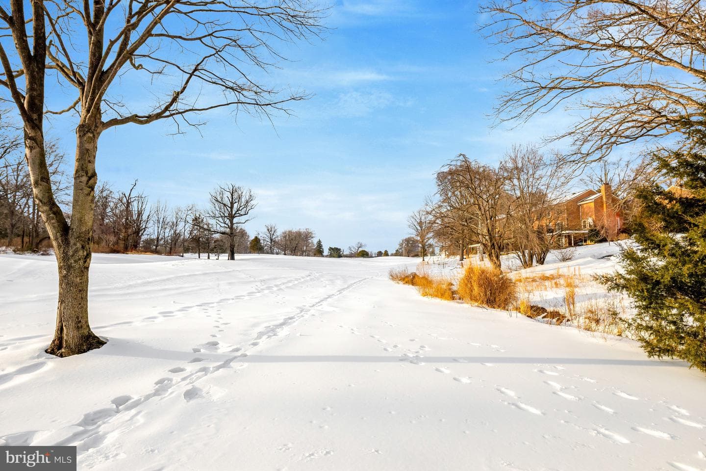 2120 Golf Course Drive photo 42