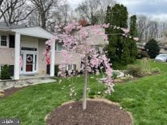 6125 Beech Tree Drive photo 37