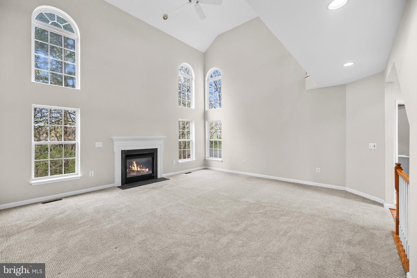 12494 Cliff Edge Drive photo 13